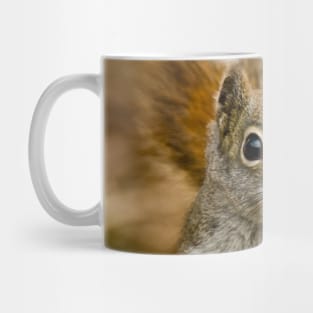 Red Squirrel Mug